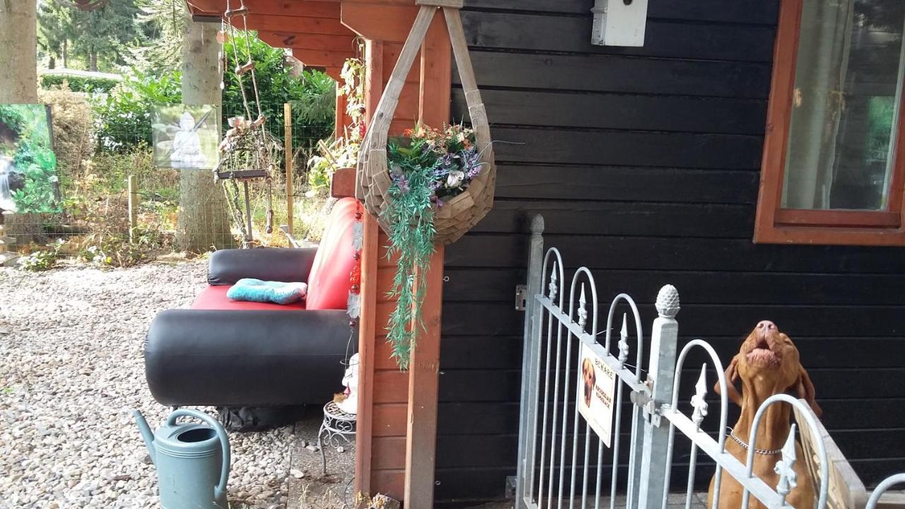 Chalet Op Een Rustig Park In De Natuur Путен Екстериор снимка
