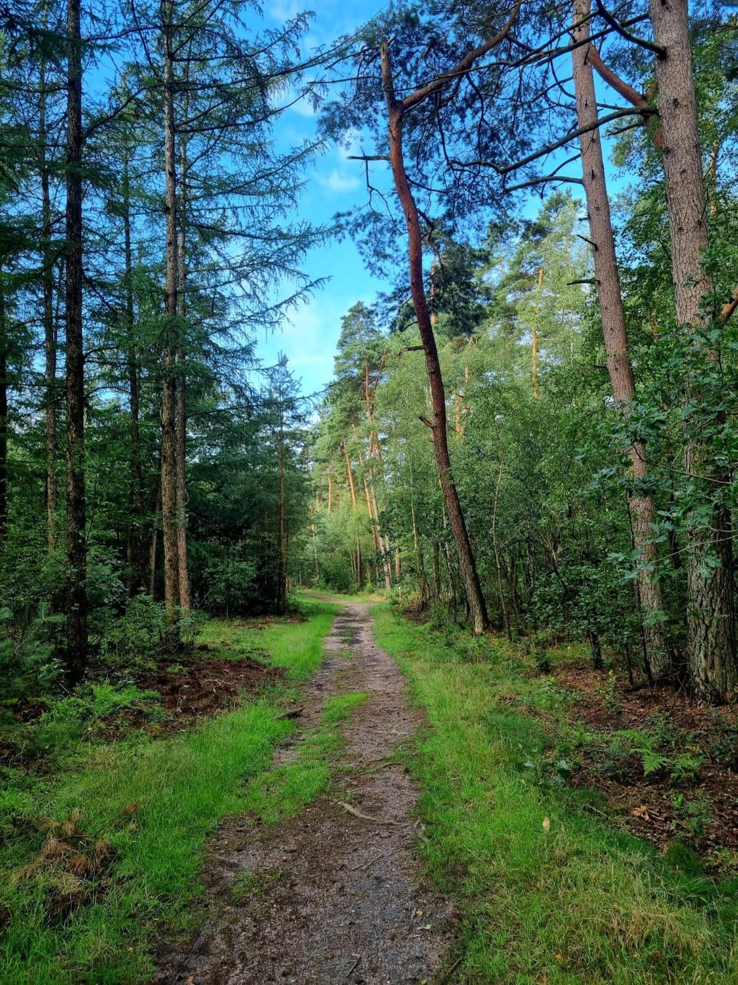 Chalet Op Een Rustig Park In De Natuur Путен Екстериор снимка
