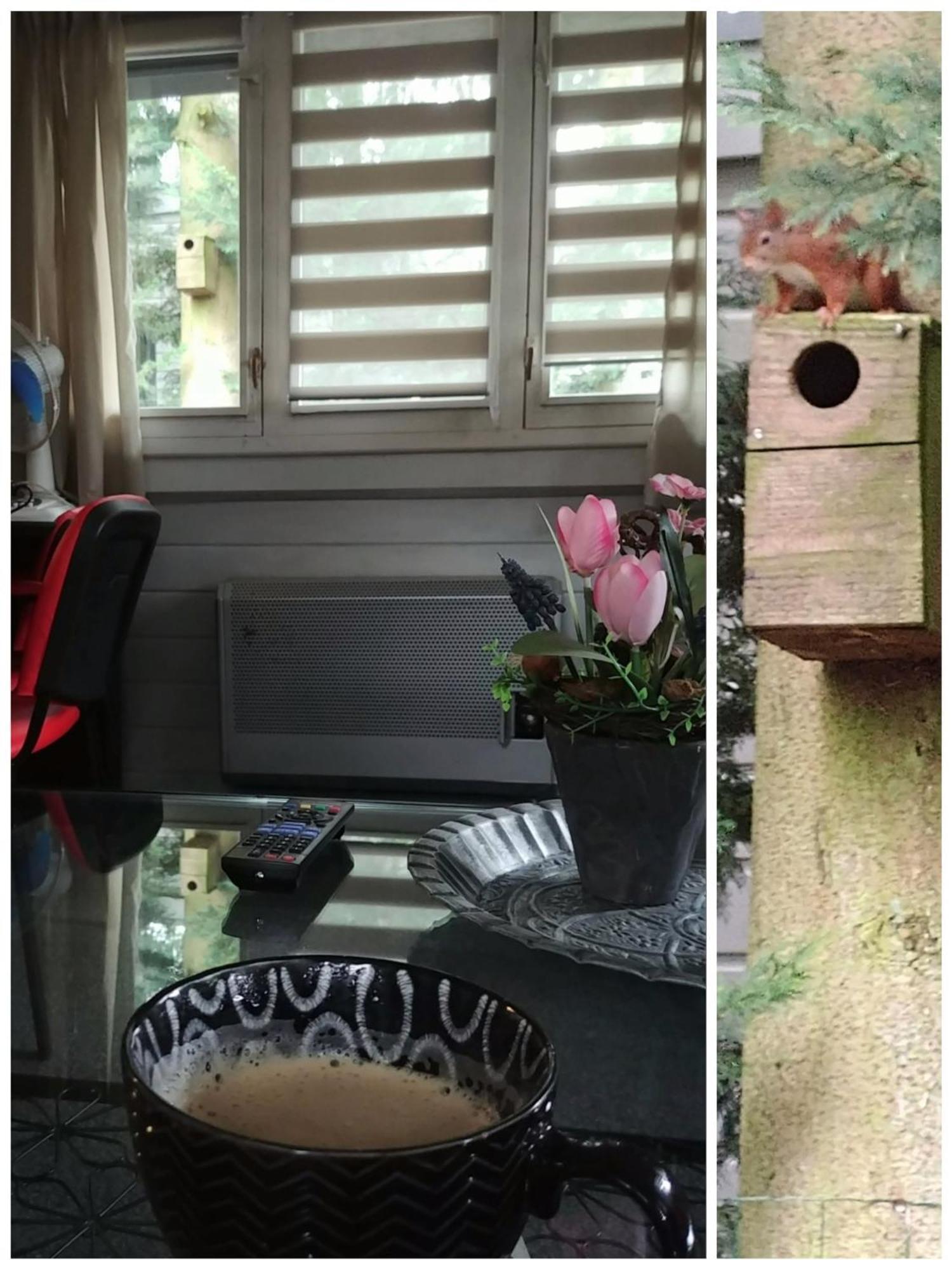 Chalet Op Een Rustig Park In De Natuur Путен Екстериор снимка