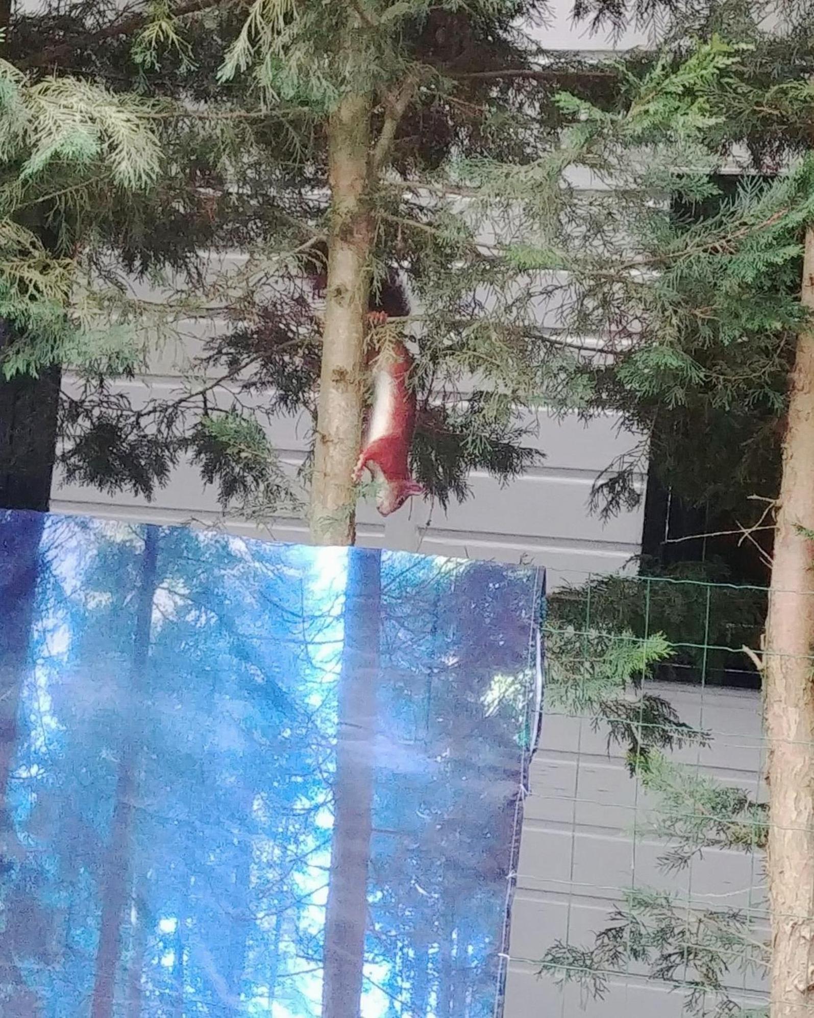 Chalet Op Een Rustig Park In De Natuur Путен Екстериор снимка
