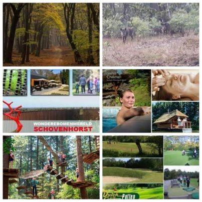 Chalet Op Een Rustig Park In De Natuur Путен Екстериор снимка
